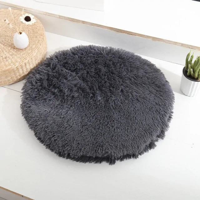 Round bed four a dog