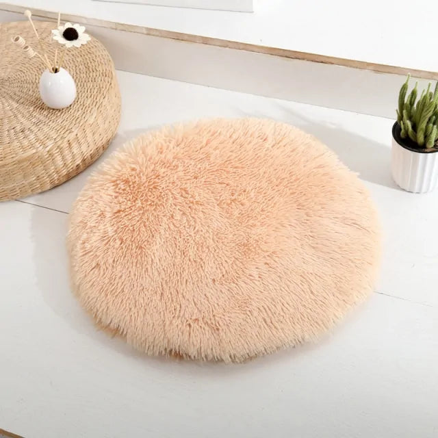 Round bed four a dog