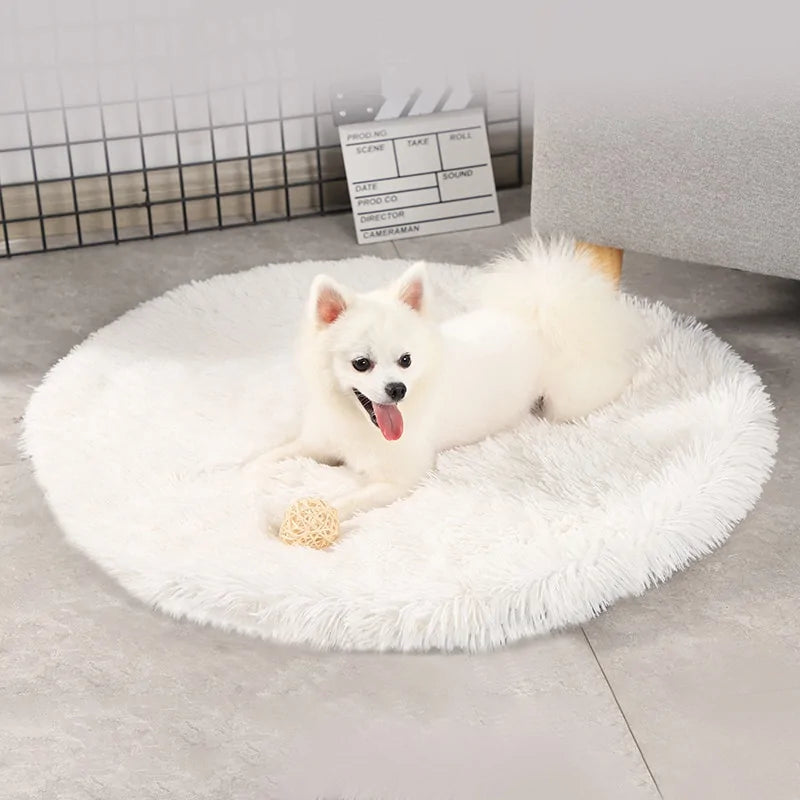 Round bed four a dog