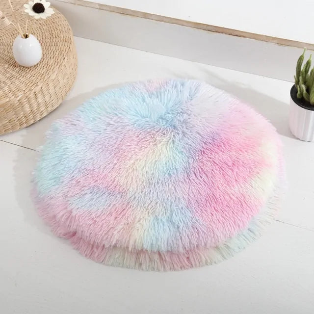 Round bed four a dog