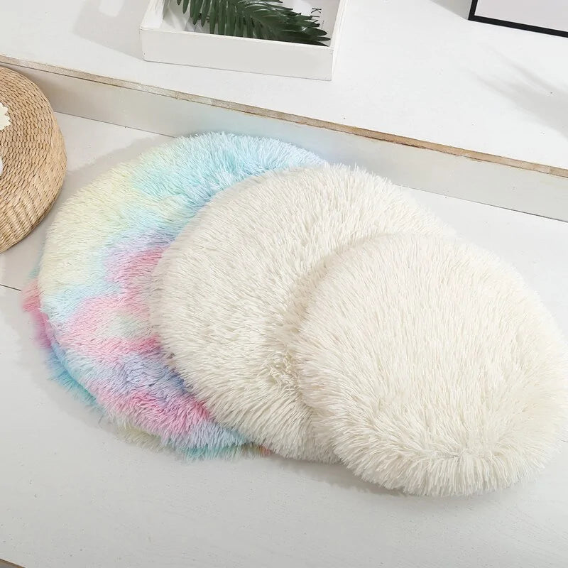 Round bed four a dog