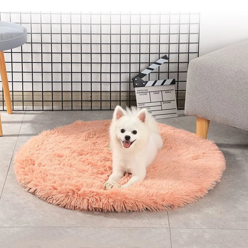 Round bed four a dog