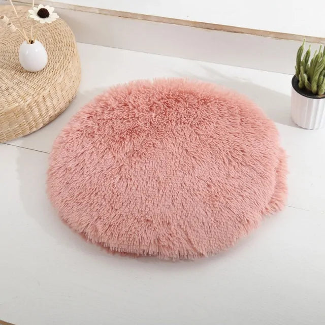 Round bed four a dog