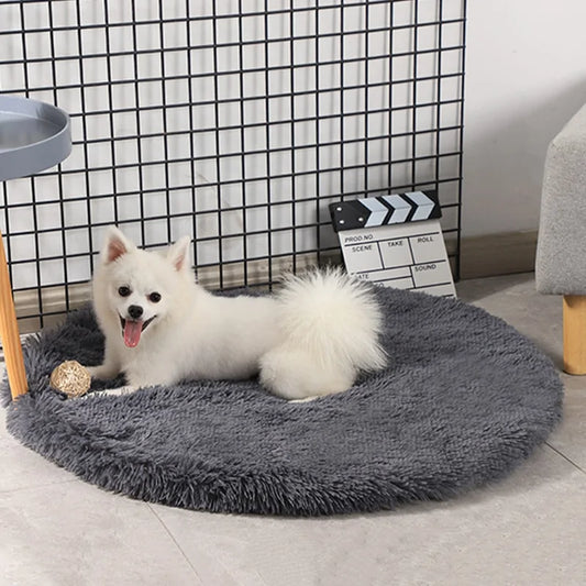 Round bed four a dog